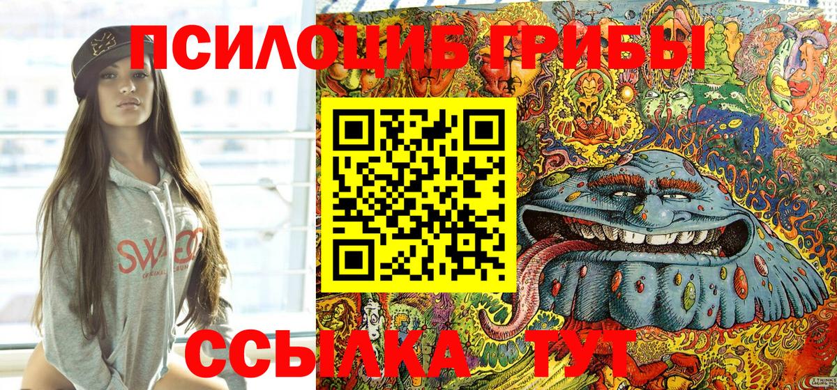 Галлюциногенные грибы GOLDEN TEACHER Кольчугино